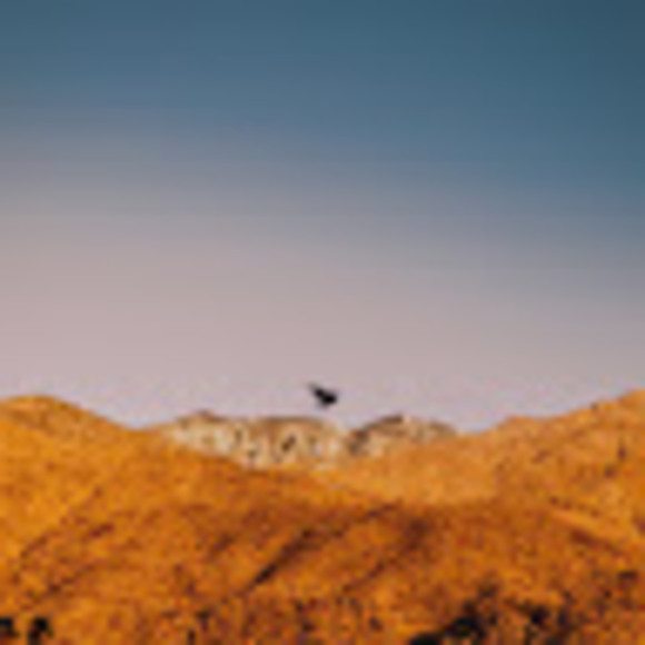 Meet your Posher, Kayla - Picture 1 of 1